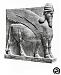 الصورة الرمزية لـ babylonian